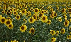 如何评价办2023年2月27日至28日的百日宴?是否值得期待?