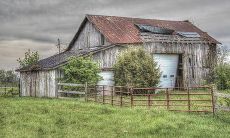 床头应该挂什么画才最能带来吉祥之神？是书法名画最适合挂在床头，还是有其他装饰品更适合这一位置呢？