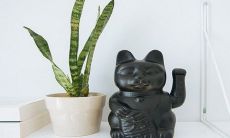 有一只蝙蝠飞进家中,会给风水带来什么影响?如何有效地将其驱逐以维持家居的吉祥气场?