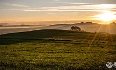 从抠门到大方的转变：生肖男中对待老婆最抠门的男人如何变成舍得给老婆花钱的绅士？