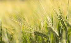 您考虑一下参加于2023年2月24日、25日、26日举行的百日宴活动，感受一下吗？