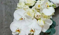 2023年5月15日是否适宜举办婚礼并举行婚宴,是否具备吉利祥和的元素,需考虑诸多因素而进行权衡?