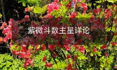 紫微斗数中主星的详细解析:从命宫至命宫,全面解读命理学中的核心要素