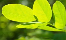 如何判断房子是否存在阴气重现象—— 探究房子存在阴气重的5个显著征兆