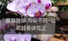 个招数,让你的企业名称与众不同,超越一般水平,突显出特色!