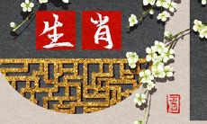 2023年6月10日十二生肖详细解析:第一运程你的神秘命运!