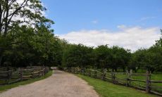 哪些星座的组合命中注定会在一生中缠绵不舍？