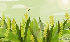 邀您参加2023年2月21日至2月23日的精彩百日宴,共度难忘时光!