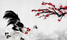 如何推算93年属鸡何时能够遇到真正的真爱:通过八字合婚技巧看清正缘