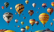 属鼠如何利用衣着穿出财运之道?穿什么颜色的衣服最旺财?同时,2023年又是什么颜色的禁忌之年?对于属鼠的女性来说,这是必须要知道的重要信息!