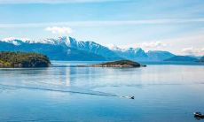 2023年2月18日、19日、20日举办百日宴：你是否愿意参加？