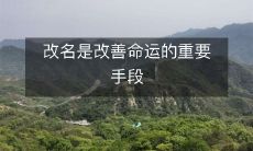 改名是一项极为重要的策略,可大幅改善命运,提升生活质量与成功率