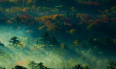 车牌号码能影响吉凶吗?哪些车牌号码的组合意义更吉祥?