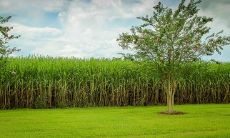 如果你的夫妻宫为未土，那么你的另一半会是怎样的人呢？