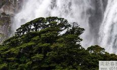 居家风水对婚姻的影响：如何利用风水促进夫妻关系稳定？