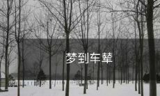 如何解读梦中出现的车辇?深入探究梦境中车辇的象征意义与潜在启示