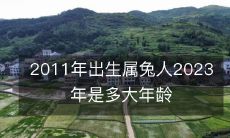 2011年诞生的兔年生肖属兔者,到了2023年将迈入年龄的第13个岁头