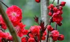 哪些星座女性在工作场所始终保持谨慎小心?