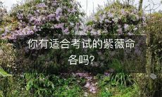 您是否有适合考试的紫薇命理学命盘?