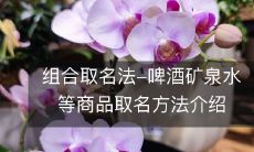 介绍商品取名的组合取名法,包括啤酒、矿泉水等商品的命名方式