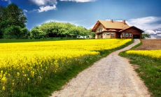 容易受人操纵、缺乏独立思考的星座特质：缺乏自主权会导致你将任人摆布！