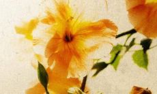 2023年5月16日是否是一个理想的日期来开设新的店铺呢？开业日的选择是否会对店铺的新店开张有所影响呢？