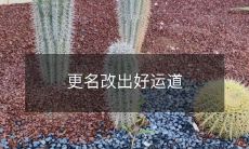 在改名的道路上，寻找好运道