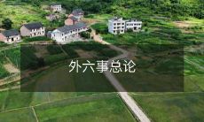 探讨外部环境对企业六个方面的影响:外部环境对企业经济、政治、文化、法律、技术和自然六个方面的全面影响探讨