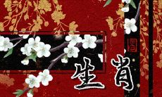 不愁没好报,三生肖女因乐善好施而迎来傻福之缘!