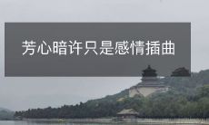 一段短暂的感情插曲,仅仅是女孩暗中暗示的心动而已