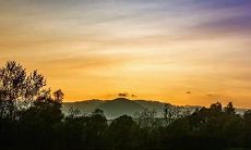 希望跨年度,迎来2023年2月14日、15日、16日的生日宴,请问您是否能莅临?