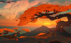 哪个字母组合的车牌号最为吉利?每个字母组合代表的寓意和意义皆不相同!