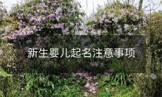 为你的新生婴儿选择一个适宜且有意义的名字：注意事项和建议