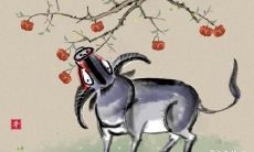 2024年是大运交替期,许多人将面临“换大运”现象:换大运前后的身体和心理状况变化征兆分析