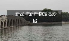 探究新品牌新产品的命名策略:妙招之道