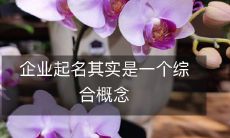 企业命名是一个复杂而综合的概念,需要综合考虑品牌形象、市场定位、企业文化及目标受众等多方面因素