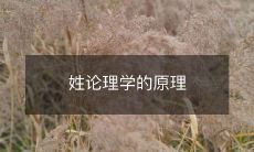 探究姓氏与论理学之间的联系:揭示姓氏理论学派的思想原理