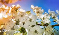 2023年2月25日和26日这两天是否适合选在进行相亲活动呢?