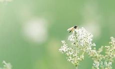 在2023年2月17日和18日,这两天是否合适用作安排相亲约会的时间?