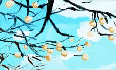 十二生肖属相之间的相冲和相克情况及其组合一览表