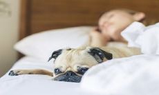 在梦中接受的信息是否可以被解释为预兆或逆转指示?