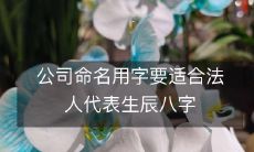 如何根据法人代表的生辰八字为公司命名选择合适的用字？