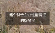 为企业量身定制的高性能名称: 如何为您的企业命名?
