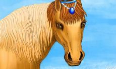 经龙女驾驭后的生肖男，以及被生肖女爱上时所展现出的表现