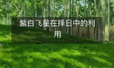 探究紫白飞星在择日中的应用：利用时间因素最大化风水效果