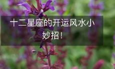 如何在日常生活中运用风水学,提升十二星座的好运气?