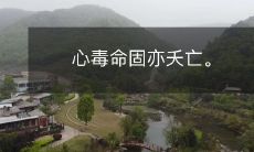 追求心中的毒盼望自己命运固定，最终注定会走向夭亡