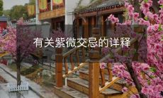 深度解析紫微交忌：如何避免十二宫之灾？