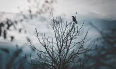 如何通过阳宅催旺财方法进行风水解析,进而有效提升个人财运?