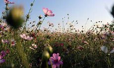 财神眷顾的星座排名：事业机遇更加向上发展，福泽连绵、禄马高昂！